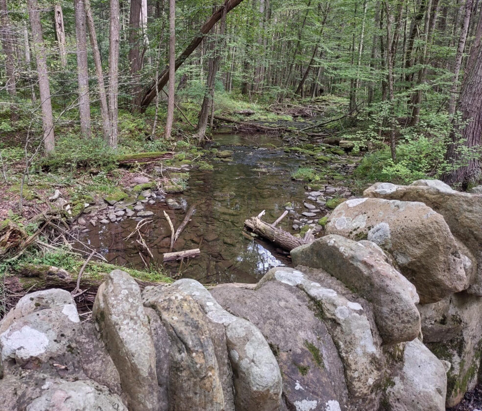 Library Hike Program James V. Brown Library’s ‘Hike It’ program offers a relaxing time ...